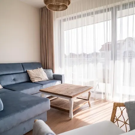 Amber & Calm Euronia *