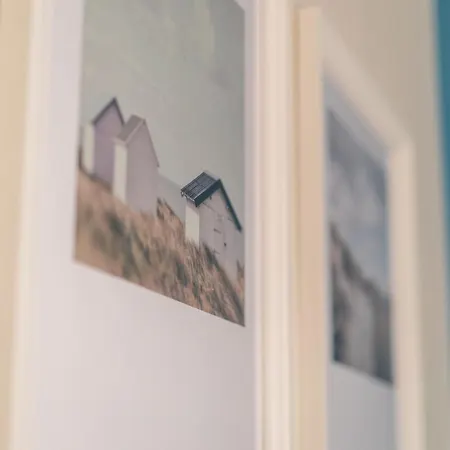 Amber & Calm Euronia *