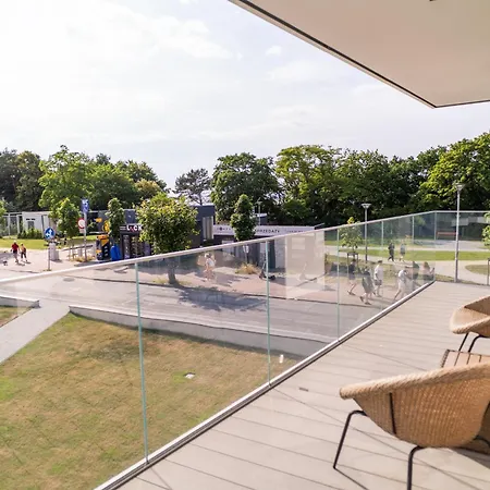 Amber & Calm Euronia *